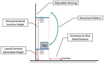 People With Low Back Pain Display a Different Distribution of Erector Spinae Activity During a Singular Mono-Planar Lifting Task